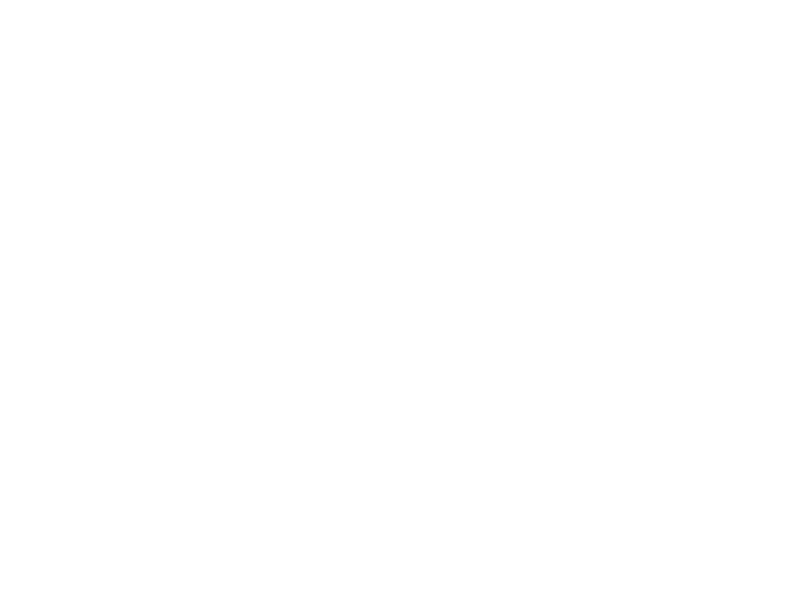 Blade Dynamics